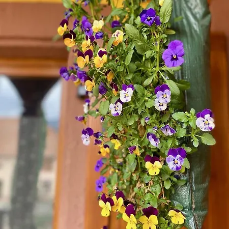 L'estaminet De La Vallee - Le Rustique Schwartzbach