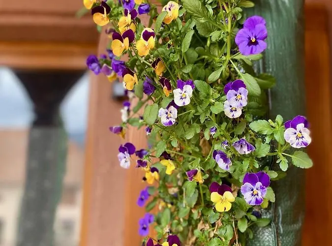 L'estaminet De La Vallee - Le Rustique Schwartzbach